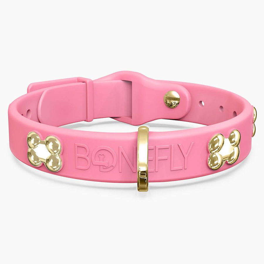 Boneflex Signature Gold Bones Collar