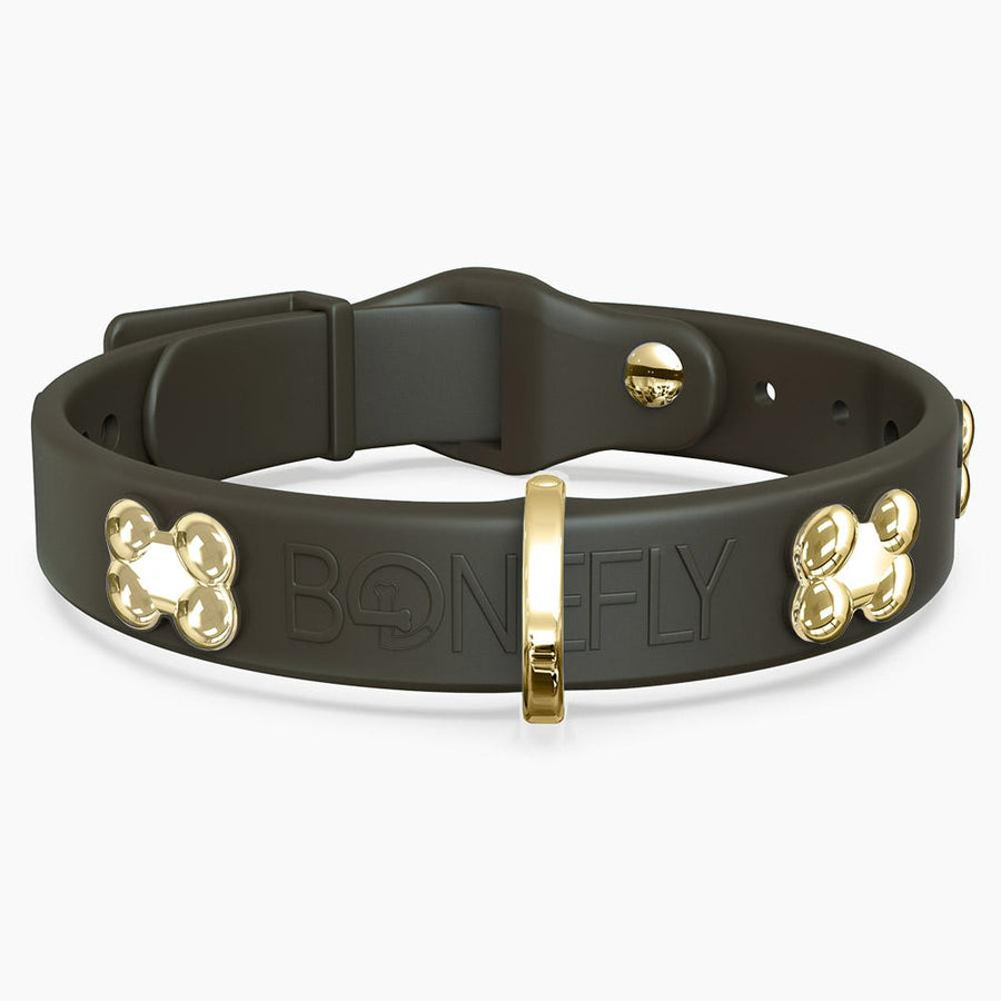 Boneflex Signature Gold Bones Collar