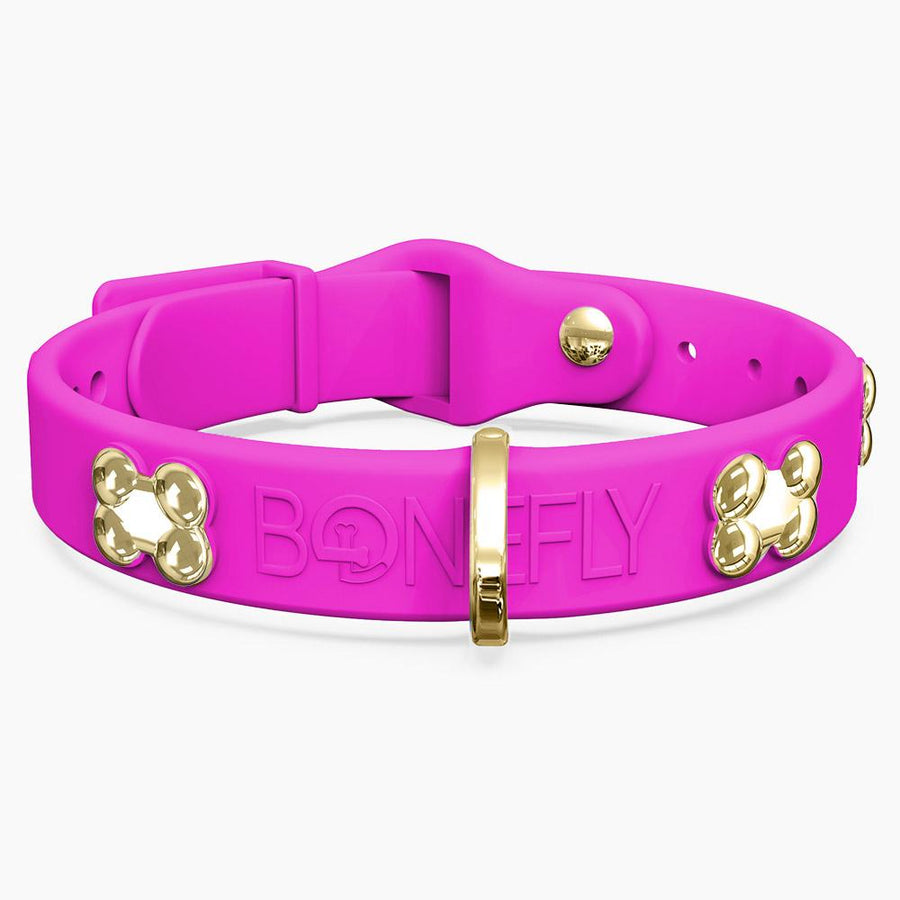 Boneflex Signature Gold Bones Collar