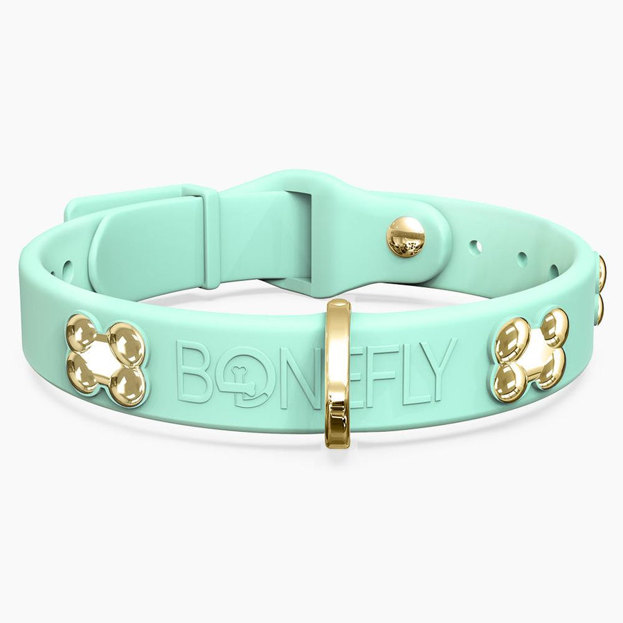 Boneflex Signature Gold Bones Collar