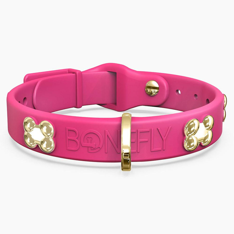 Boneflex Signature Gold Bones Collar