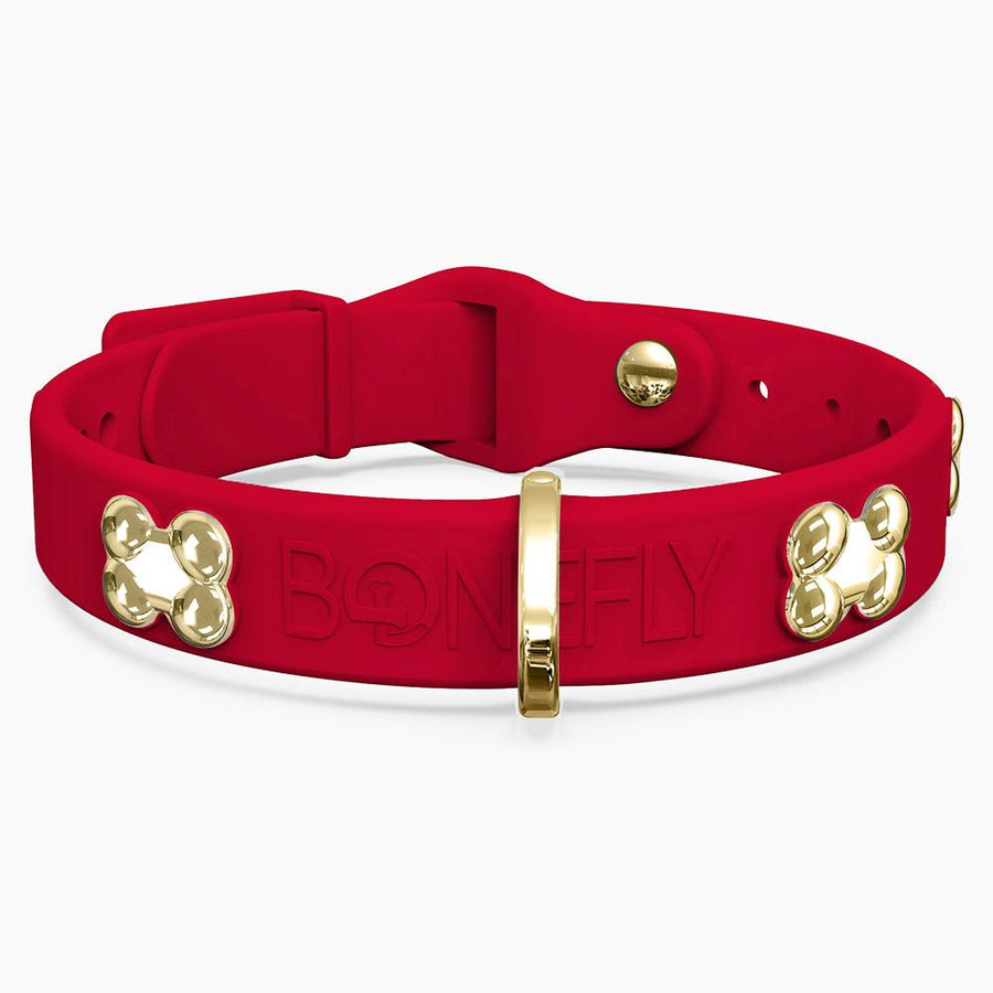 Boneflex Signature Gold Bones Collar