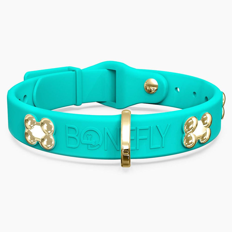 Boneflex Signature Gold Bones Collar