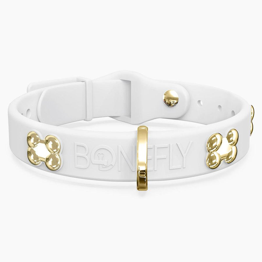 Boneflex Signature Gold Bones Collar