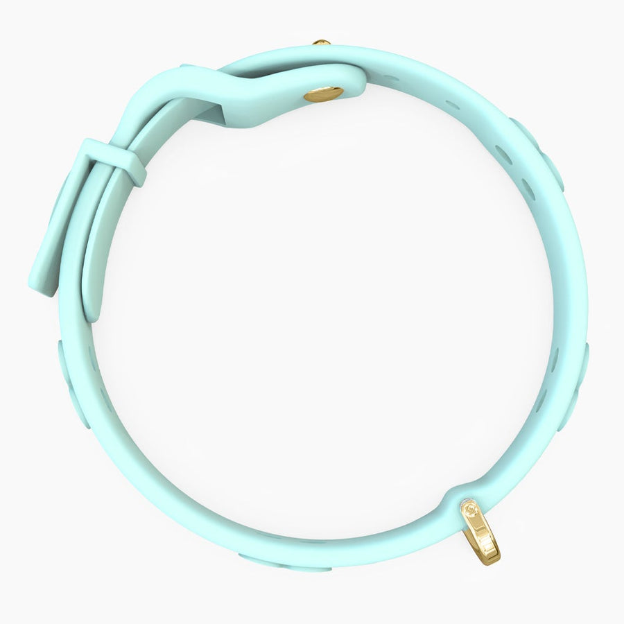 Boneflex Ultra Mint Collar