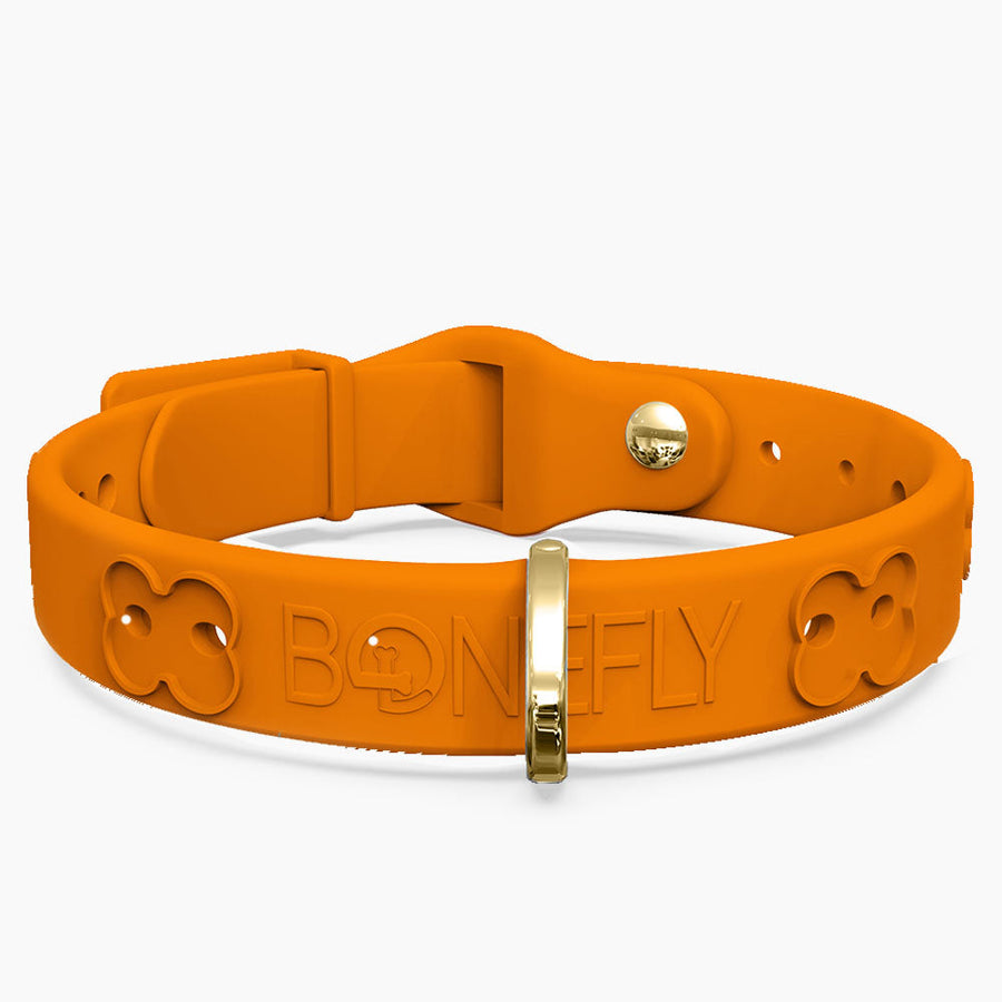 Boneflex Limited Collars