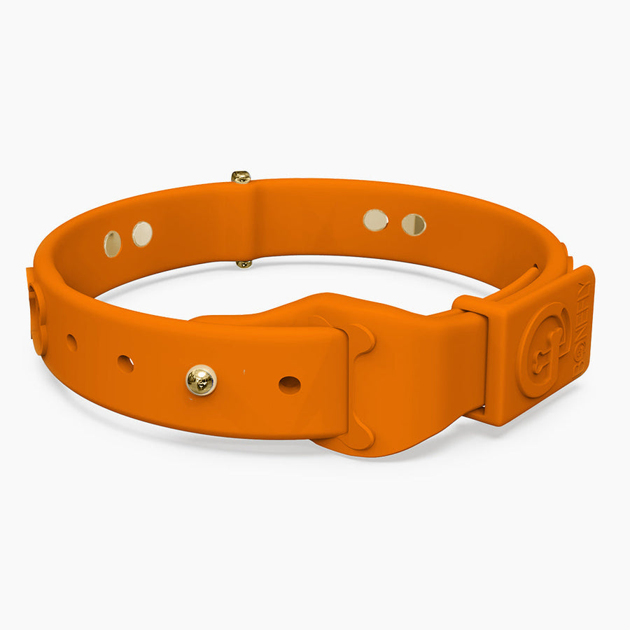 Boneflex Limited Collars