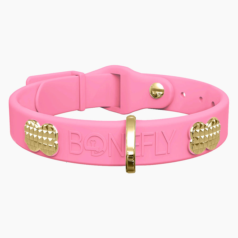 Boneflex+ Signature Spike Gold Collar