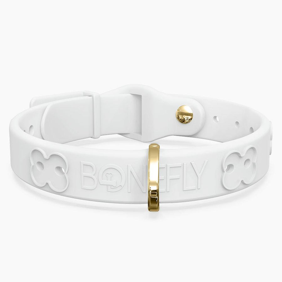 Boneflex Collars Gold (4 Bone)